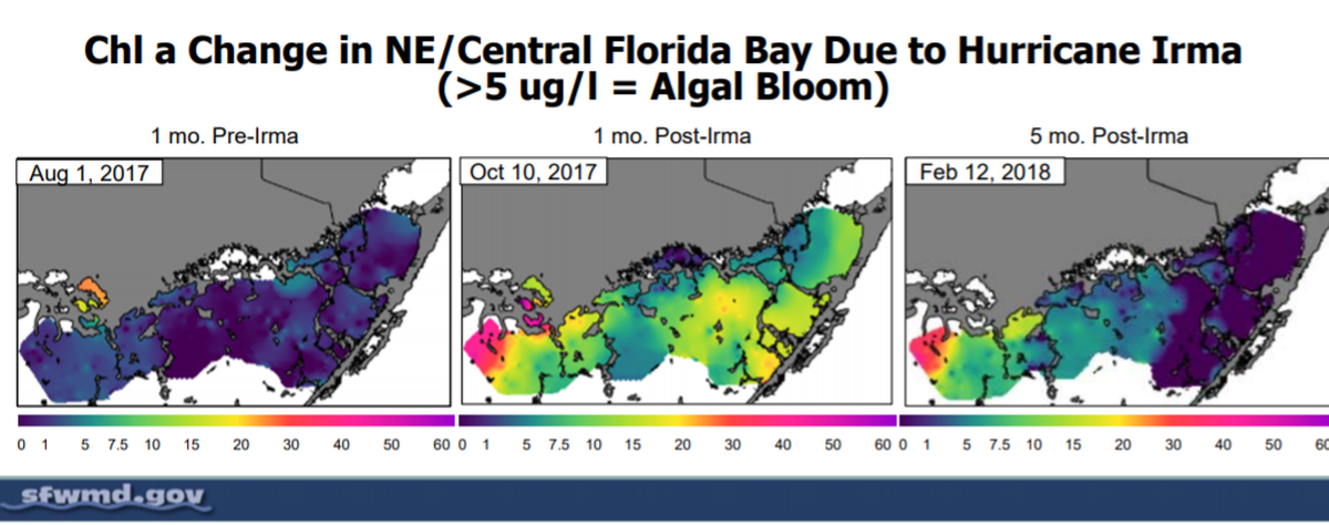 Following Hurricane Irma, signs of algae blooms were detected throughout the central and northeastern parts of Florida Bay. Source: South Florida Water Management District