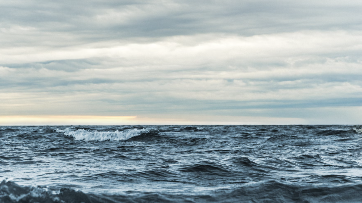 Off the coast of Australia, a massive ocean creature pulled fishing gear behind its body.
