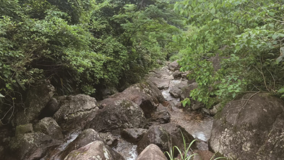 In a remote mountain stream in a China reserve, a new species was discovered. In a remote mountain stream in a China reserve, a new species was discovered.