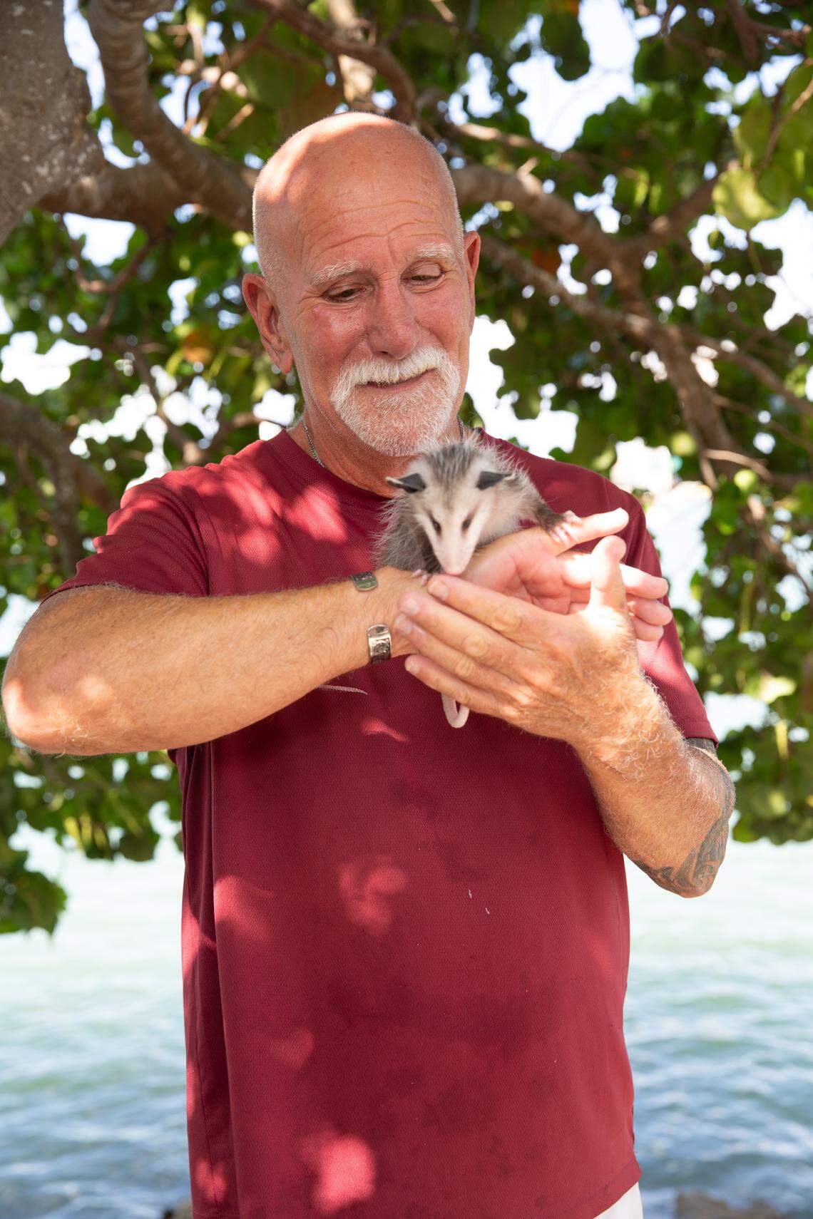 Outside volunteer Neil holds Pelican Harbor Seabird Station Ambassador Blue, a Virginia opossum.