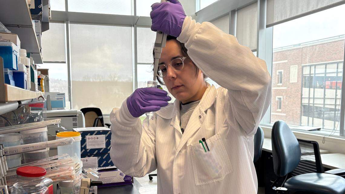 Adelaide Tovar, a postdoctoral geneticist at the University of Michigan, prepares cell samples in a science laboratory on campus. Tovar is one of about 200 young scientists who will lose research funding because the Trump administration abruptly ended the National Institute of Health’s MOSAIC grant program.