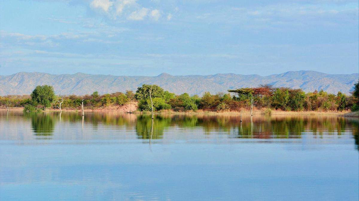 On the shore of Lake Kariba in Zimbabwe, researchers spotted large bones sticking out from the dirt.