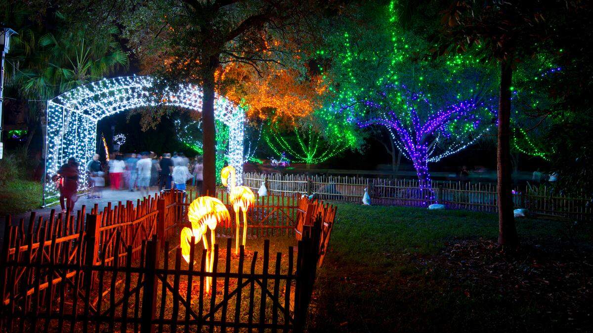 The holiday lights are coming back to Zoo Miami.