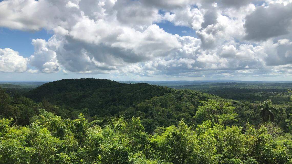 Across Cuba, small lizards are known for their color-changing abilities, and now a new species has been identified.