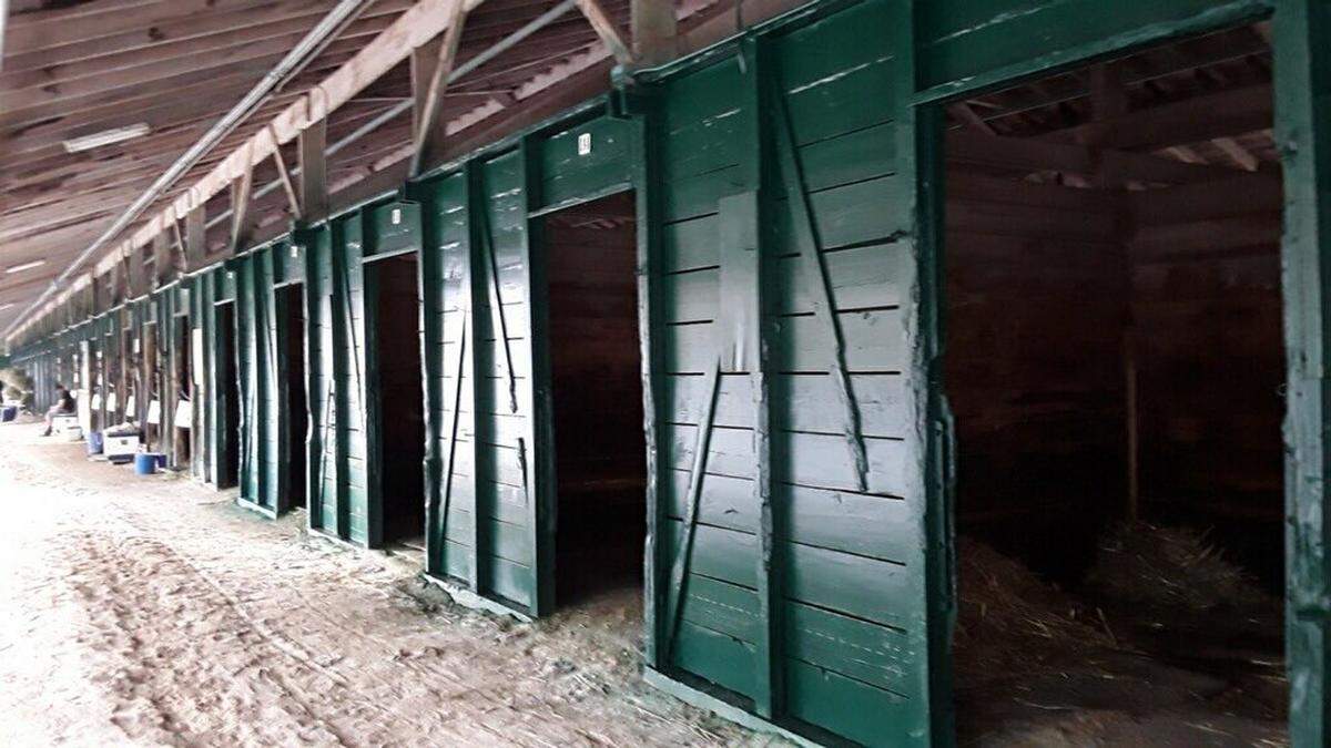The stables were renovated last week. A week later, they were flooded.