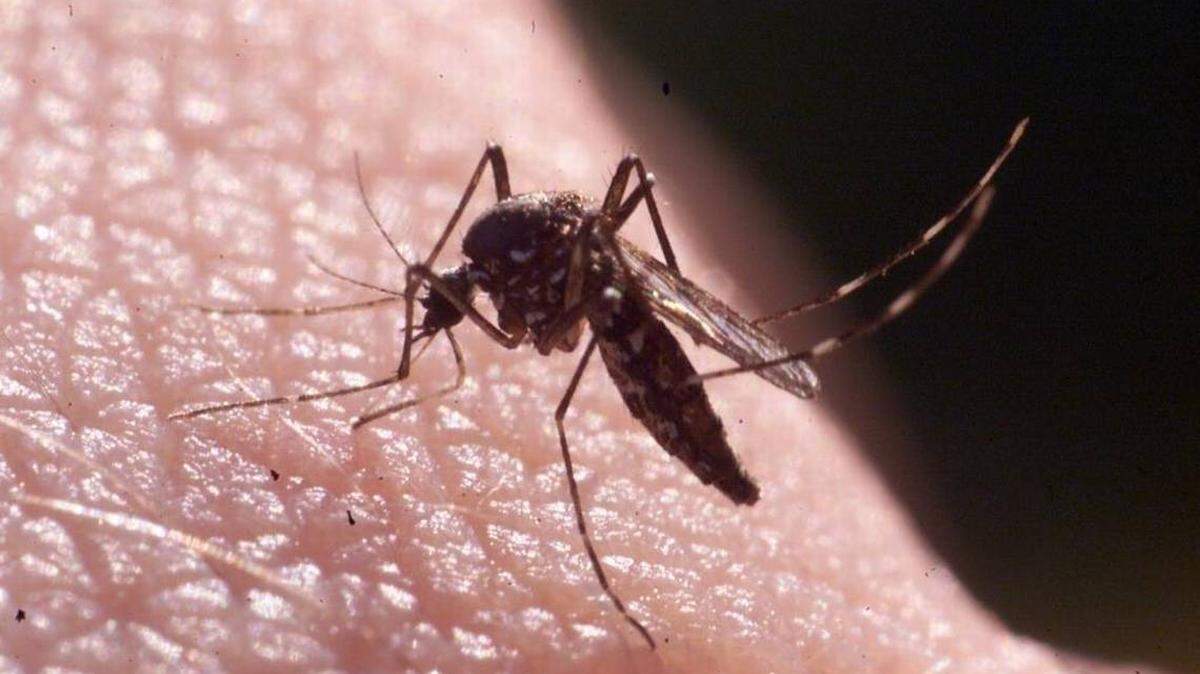 Mosquito season is back in South Florida. And that means spraying is coming.