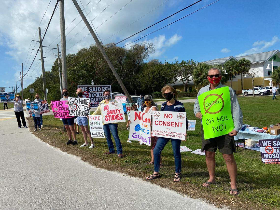 A group of people protest Sunday outside the Murray Nelson Government and Cultural Arts Center in Key Largo against a plan to release millions of genetically modified mosquitoes to combat the disease-transmitting Aedes aegypti species.