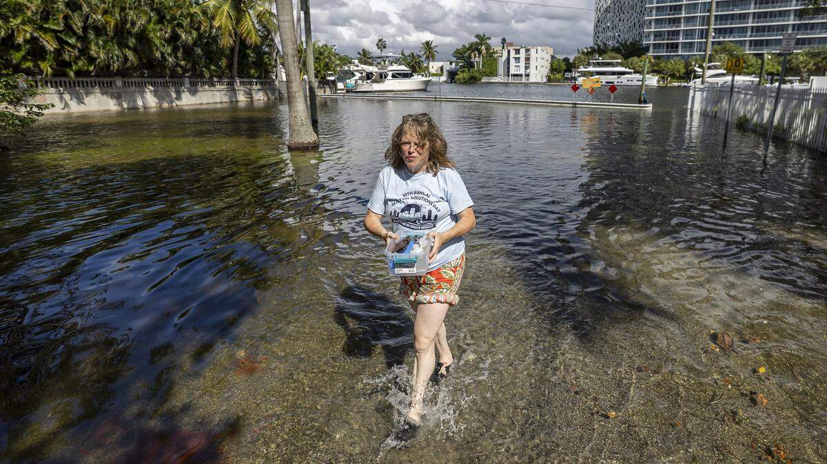 Monique Bennema, 59, economic policy officer Consulate General of the Kingdom of the Netherlands, wades back to dry land after measuring king tide during Florida International University’s Sea Level Solutions Day at Grove Park on Wednesday, Oct, 8, 2025, in Miami, Fla.