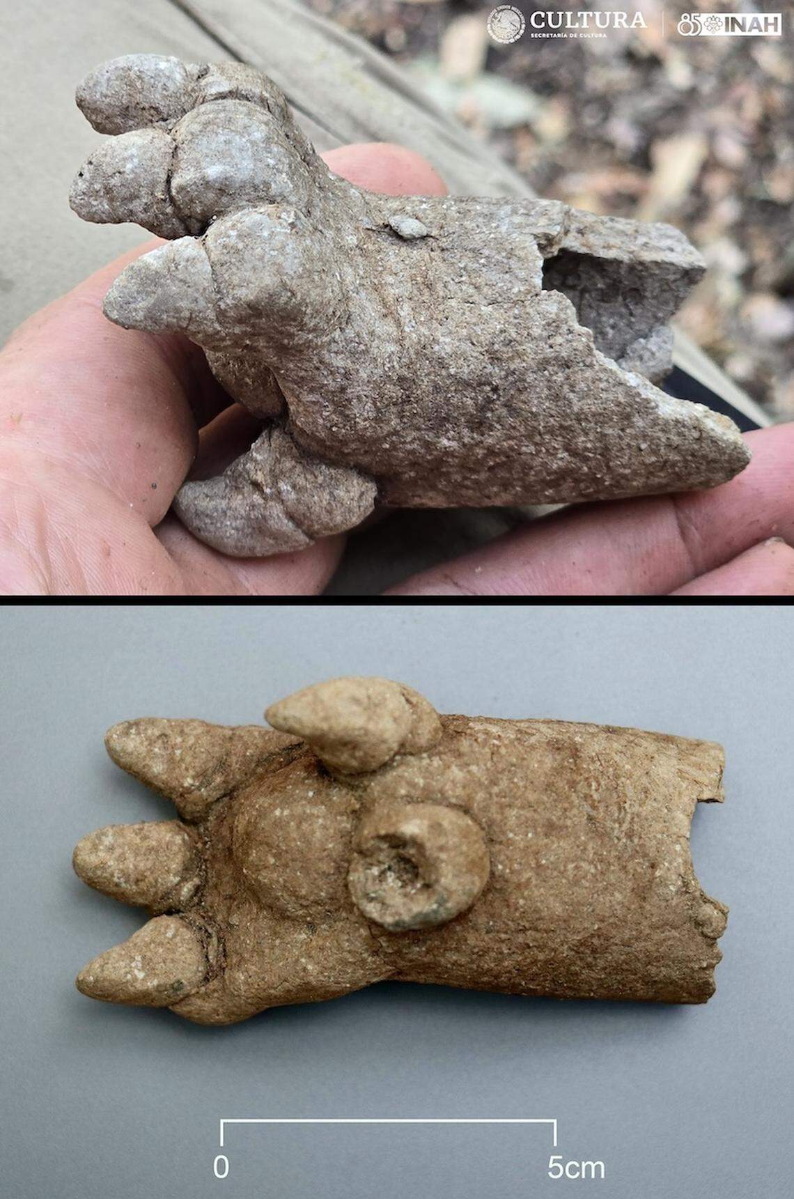 A ceramic animal foot, likely left from an offering, was found on top of the pyramid.