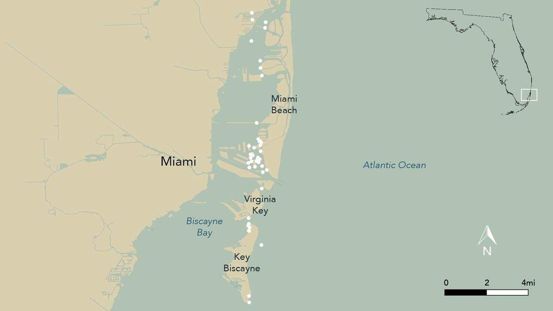 According to FWC data, about 50 accidents were reported from 2014-2018 in the areas surrounding Monument Island and Biscayne Bay.