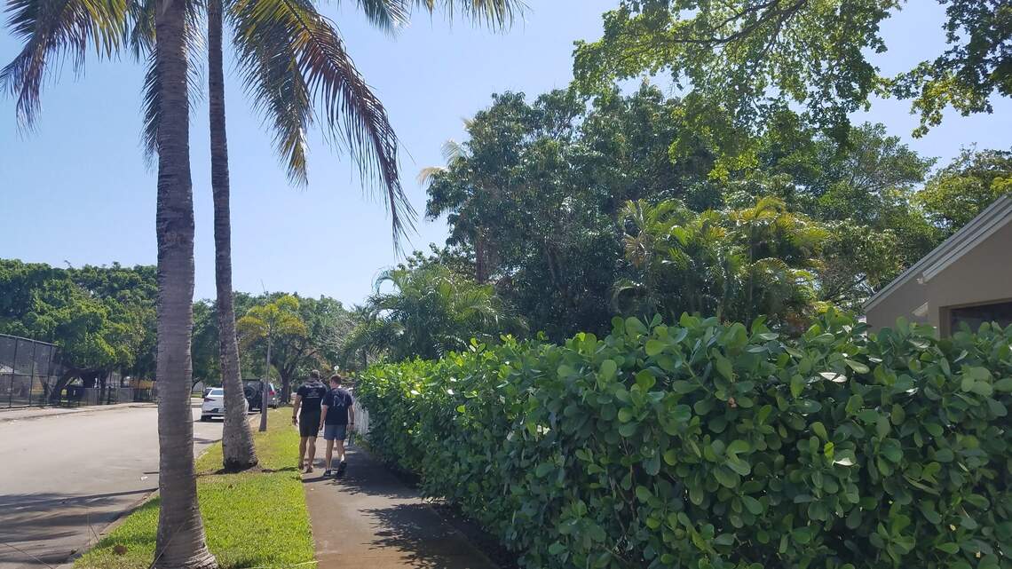 Cross the street, bro: How to take a quarantine walk in Miami without being a jerk