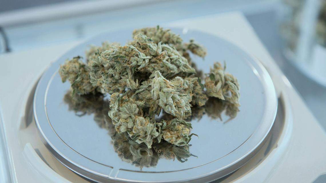 Five states have measures on the Nov. 5 ballot that ask voters about weed.