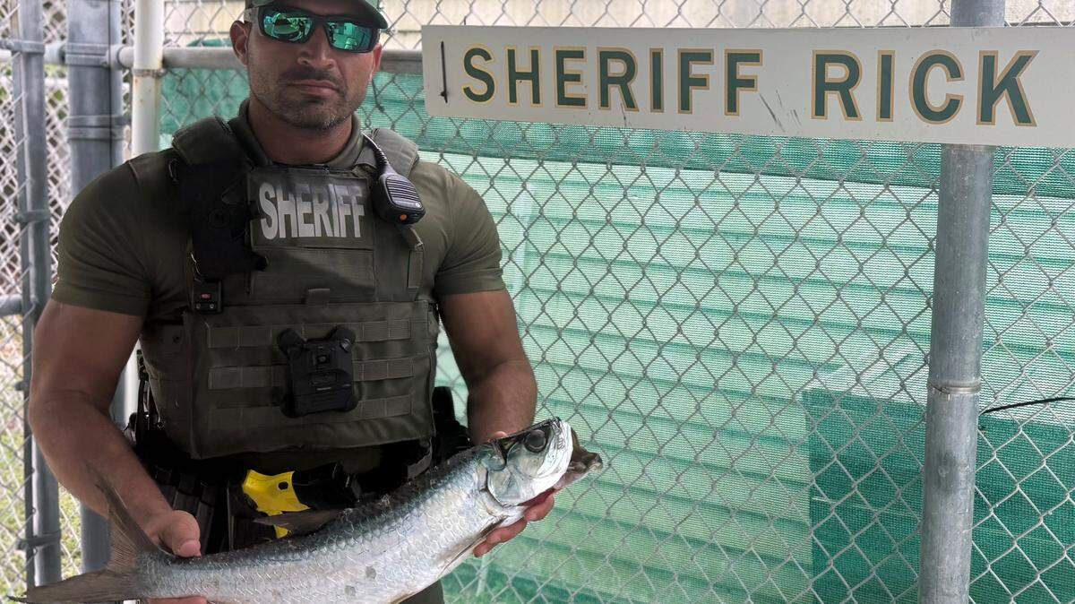 Deputy Luis Guiardinu holds a small tarpon that was illegally speared Sunday, June 29, 2025, according to the Monroe County Sheriff’s Office.