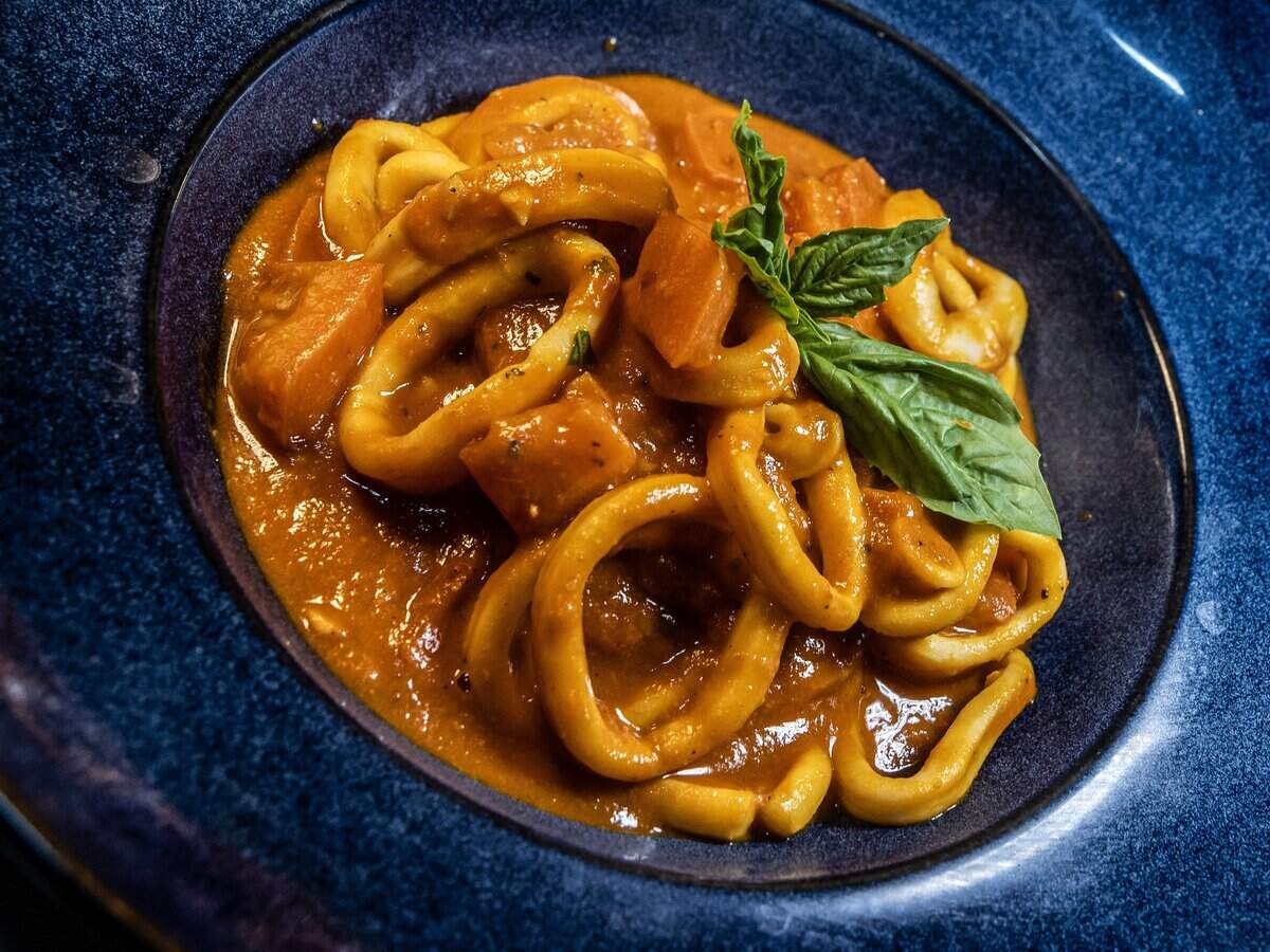 Calamari Fra Diavolo, Spanish calamari sautéed in a spicy fra diavolo sauce, from the menu at Casa Vialetto Italian restaurant, recently opened by restauranteur Marcelo Chopa, on Tuesday June 09, 2026.
