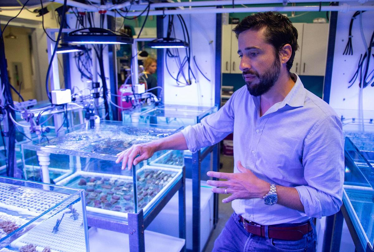Ian Enochs speaks to Miami Herald Reporter Alex Harris inside a lab at the Rosenstiel School of Marine, Atmospheric, and Earth Science on Tuesday, Aug. 1, 2023 in Miami, Fla.