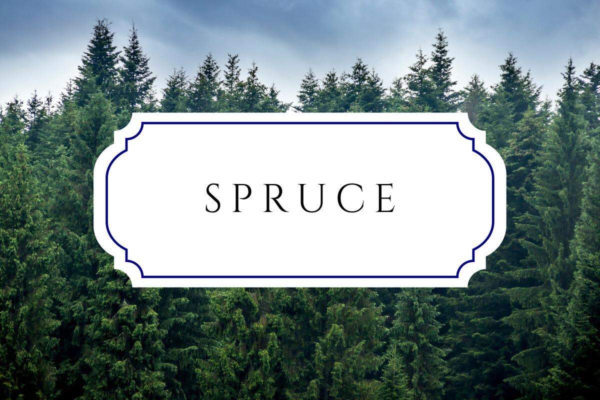botanical baby names spruce