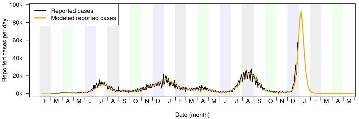 COVID-19 disease modelers with the University of Florida’s Emerging Pathogens Institute forecast the the state’s omicron wave of reported cases will peak in mid-January after causing more infections than prior surges.