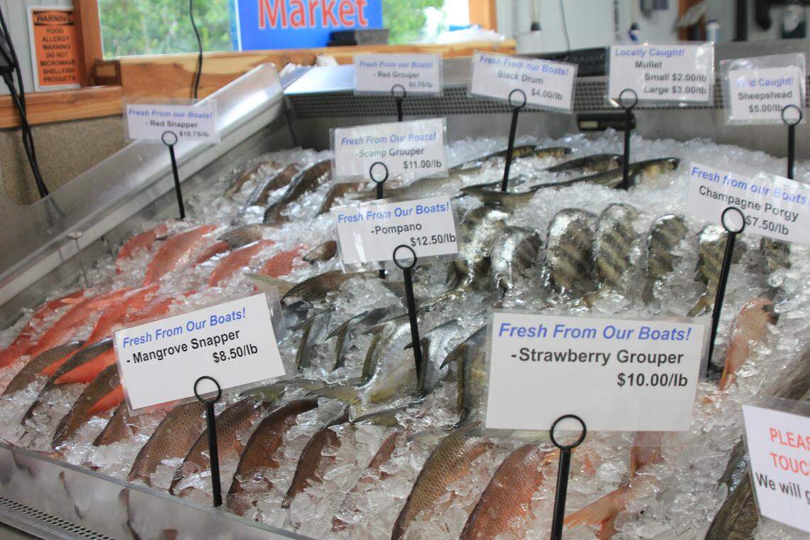 Fresh-caught Gulf fish like snapper, pompano and grouper sit on ice at Brooks Dockside Seafood in Inglis, Florida on Thursday, May 1, 2025. While no fish farmers have proposed raising these species, some commercial fishermen are concerned that might be in the Gulf’s future.