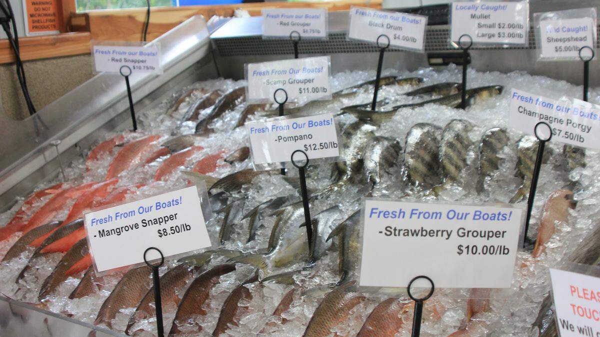Grouper, snapper and pompano sit on ice at Brooks Dockside Seafood in Inglis, Florida on Thursday, May 1, 2025. 