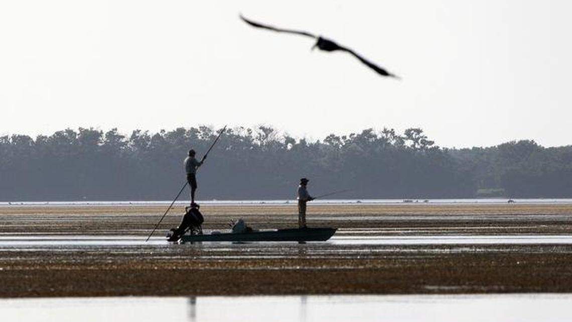 For the first time, Everglades National Park wants visitors who enter the park by water, including fishing guides’ customers, to pay an entrance fee online. The change is intended to make fees equitable among all visitors, park officials say.  Photo by Joe Rimkus Jr./Miami Herald archive