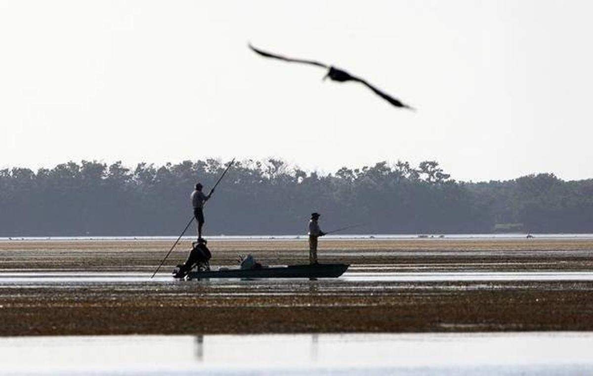 Flats fishing in Florida for permit, tarpon and bonefish helps pump about $460 million annually into the state's economy. Miami Herald archive