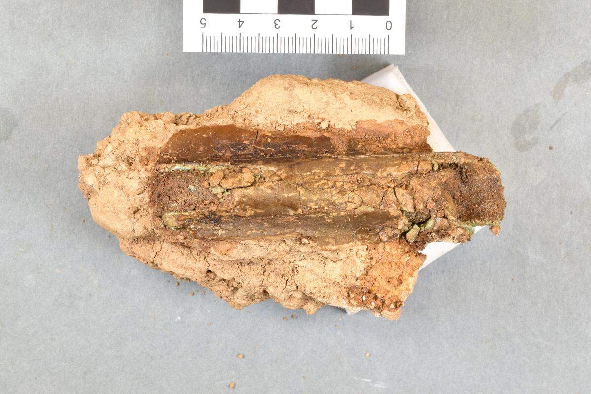 The spearhead found in the field.