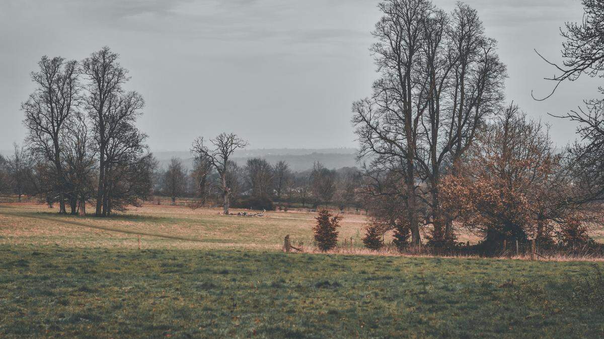 At an ancient Roman quarry in Surrey, England, an oddly colored bone suggests it may have been used in a fertility ritual, researchers said.