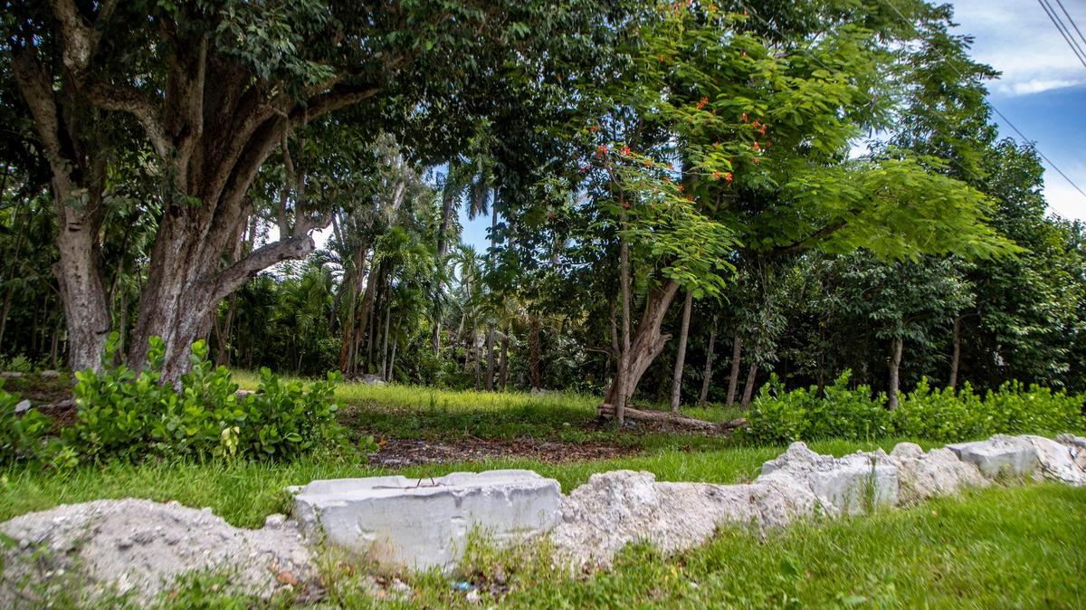 Este terreno vacío en Biscayne Gardens albergaba un bungalow de la década de 1940 que quedó en ruinas por las repetidas inundaciones.