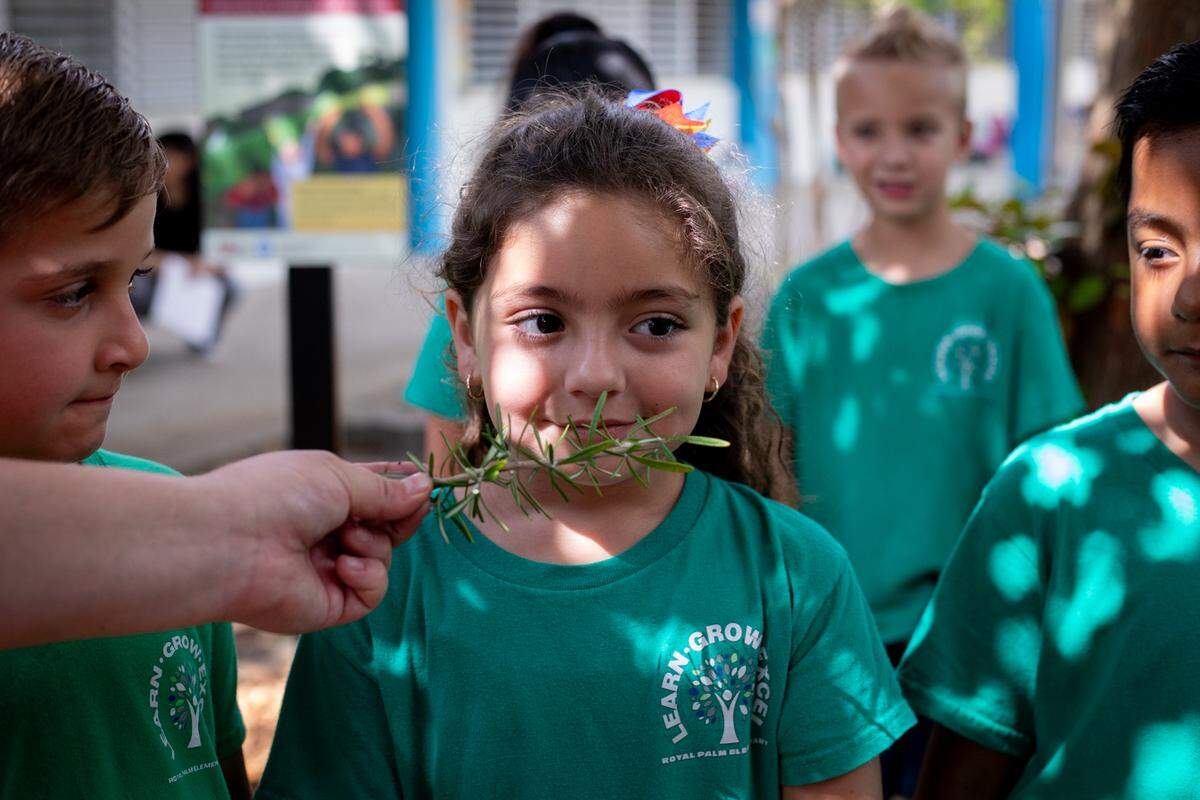 Sophia Aguila, a first grader at Royal Palm Elementary, sniffs rosemarry from the Food Forests for Schools on April 22, 2024.