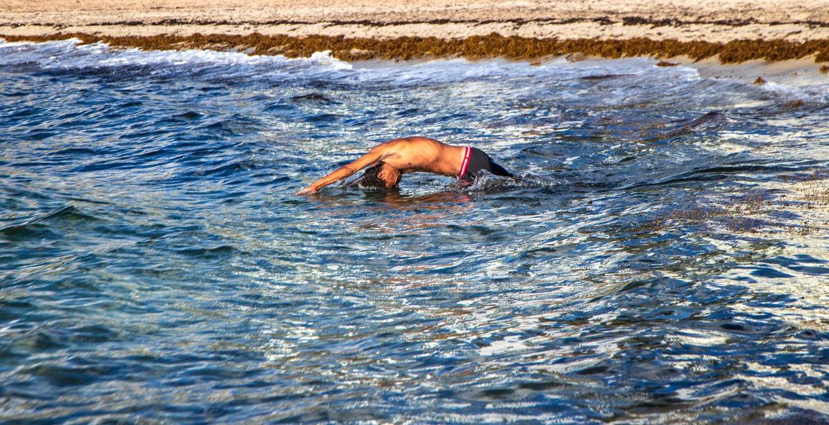 A swimmer takes to the water through a lay of Sargassum in the beach at Collins Avenue and 27th Street, in Miami Beach, on Thursday August 25, 2022.