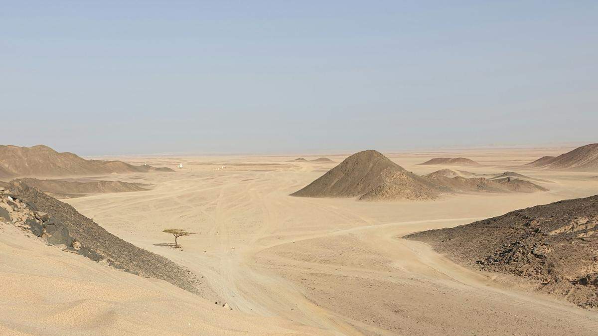 In the Western Desert of Egypt, an ancient crocodile-like species was found.