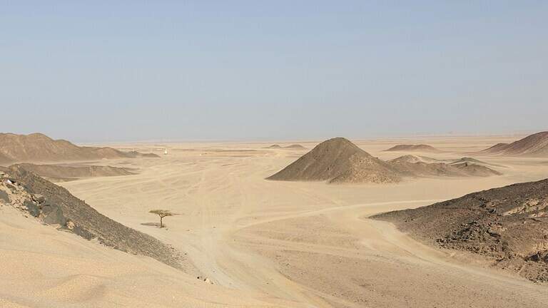 Ancient creature — named for crocodile god — unearthed in Egypt as new species