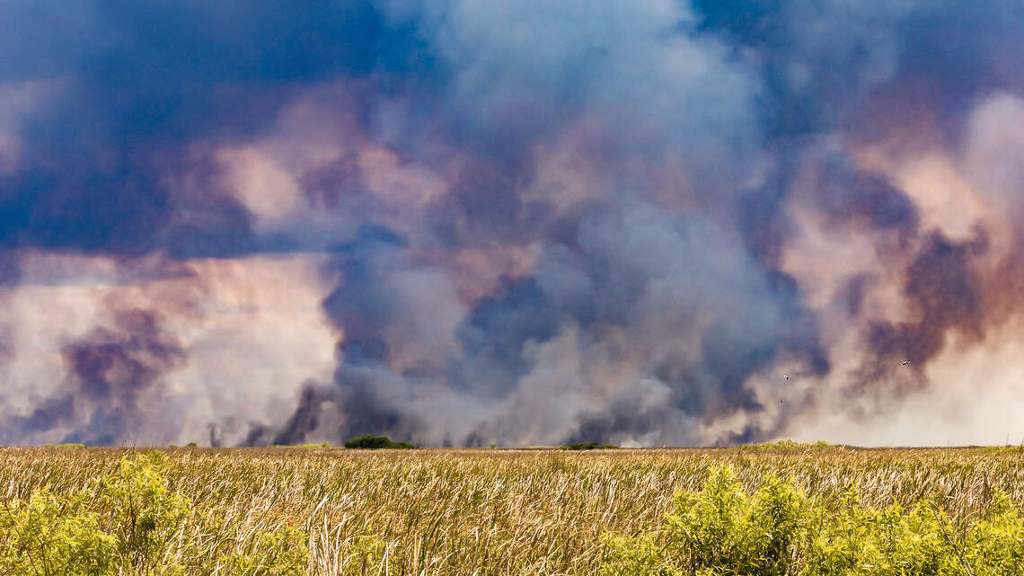 Brush fires prompt evacuation of Krome detention center for immigrants, ICE says