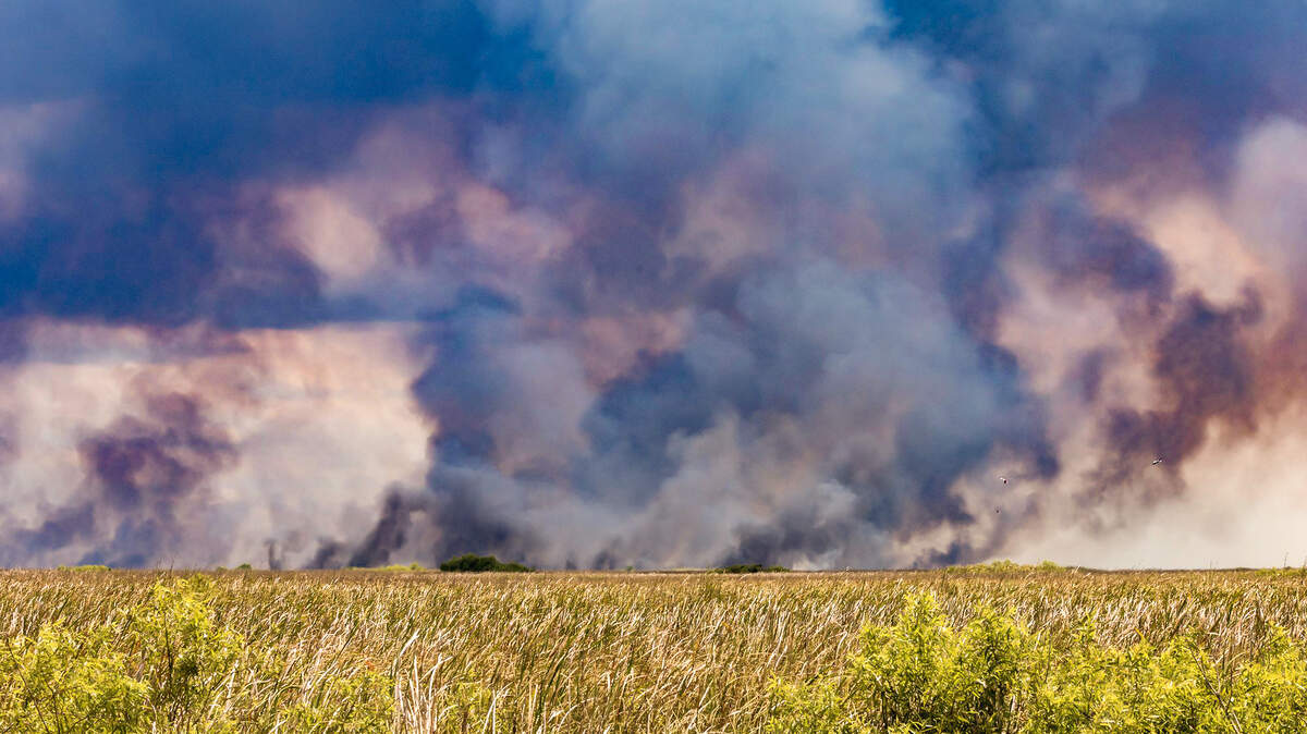 Smoke rises from a large wildfire on the south side of Tamiami Trail on Tuesday, April 28, 2026.