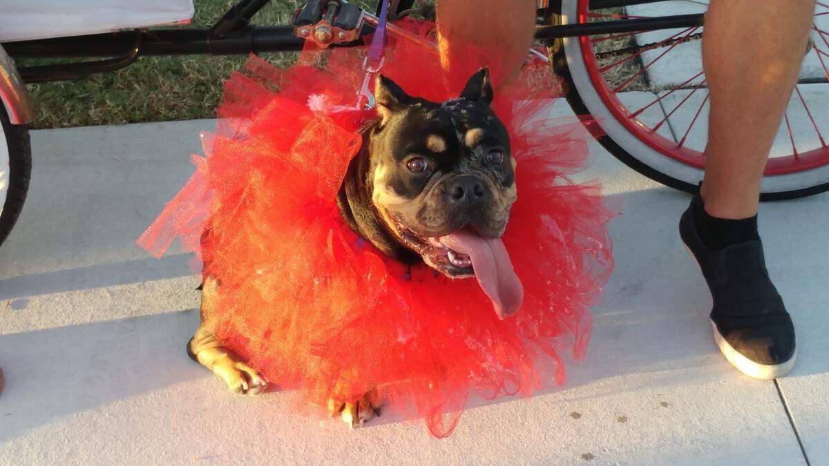 Havana Rose went as a loofah.