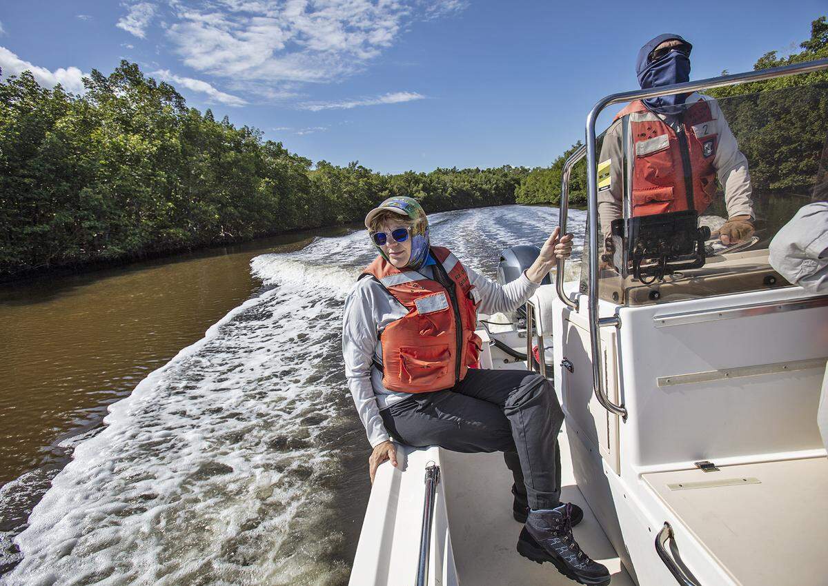 Everglades National Park: Dr. Evelyn Gaiser the George M. Barley, Jr. Endowed Scholars Chair at Florida International University (at left) and Lab Manager Rafael Traveiso