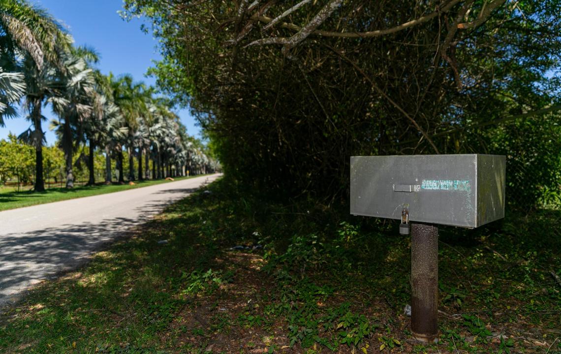 A view of a shallow groundwater sampling well at the intersection of Southwest 192nd Avenue and Southwest 240th Street in Homestead on Feb. 28, 2022.