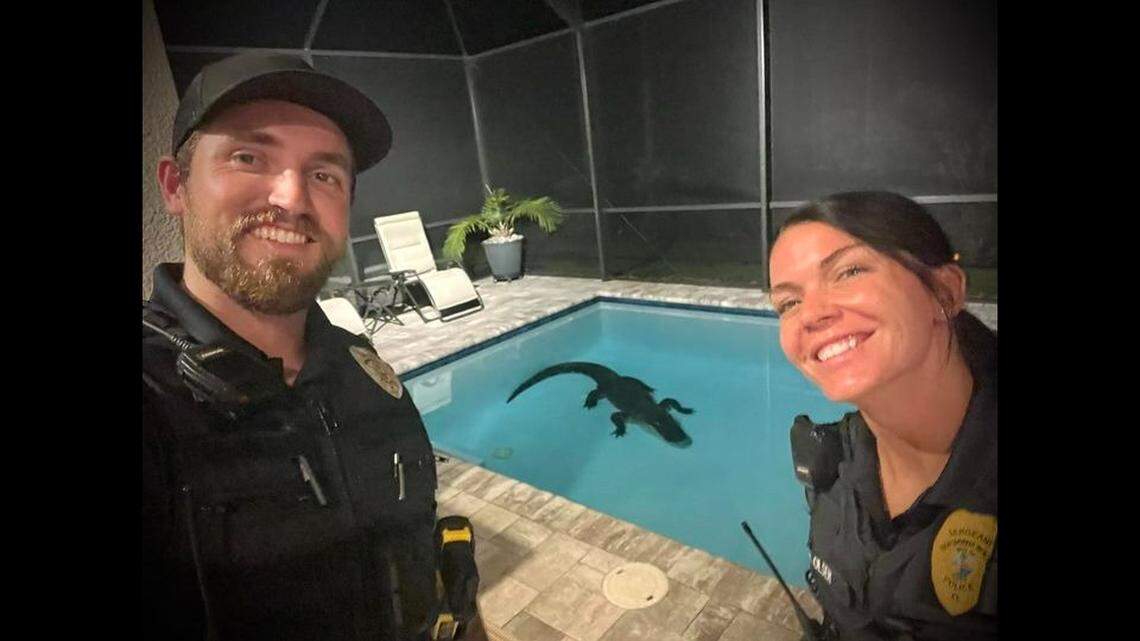 New Smyrna Beach police officers arrived at the Florida home at 2:30 a.m. to find a 10-foot alligator in the swimming pool.