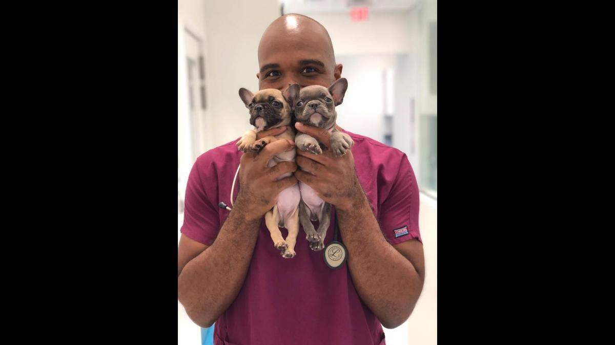 Prentiss Madden, an Aventura veterinarian, is accused of having child pornography and abusing a dog.