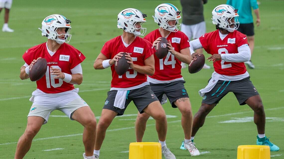 Dolphins offense feasted in red zone on third day of minicamp