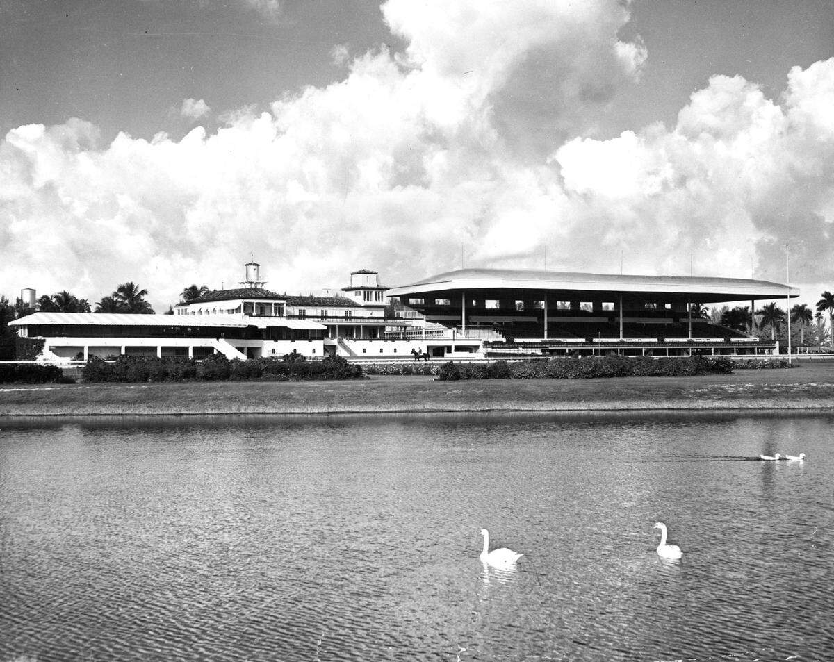 Tropical Park in 1970, when it was a horse race track.