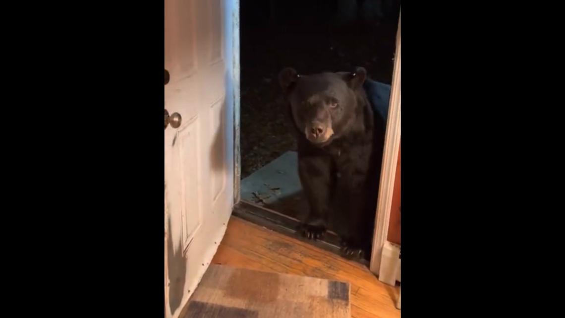 A woman named Susan Kehoe in Vernon, New Jersey shared a video to YouTube of a bear standing in her doorway and told him to close her front door.