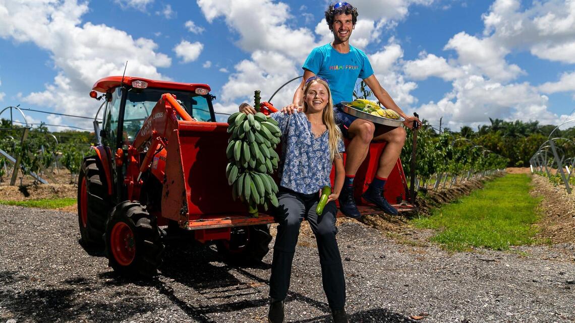 Oddly colored and somewhat phallic: How Miami’s rare tropical fruit went TikTok viral