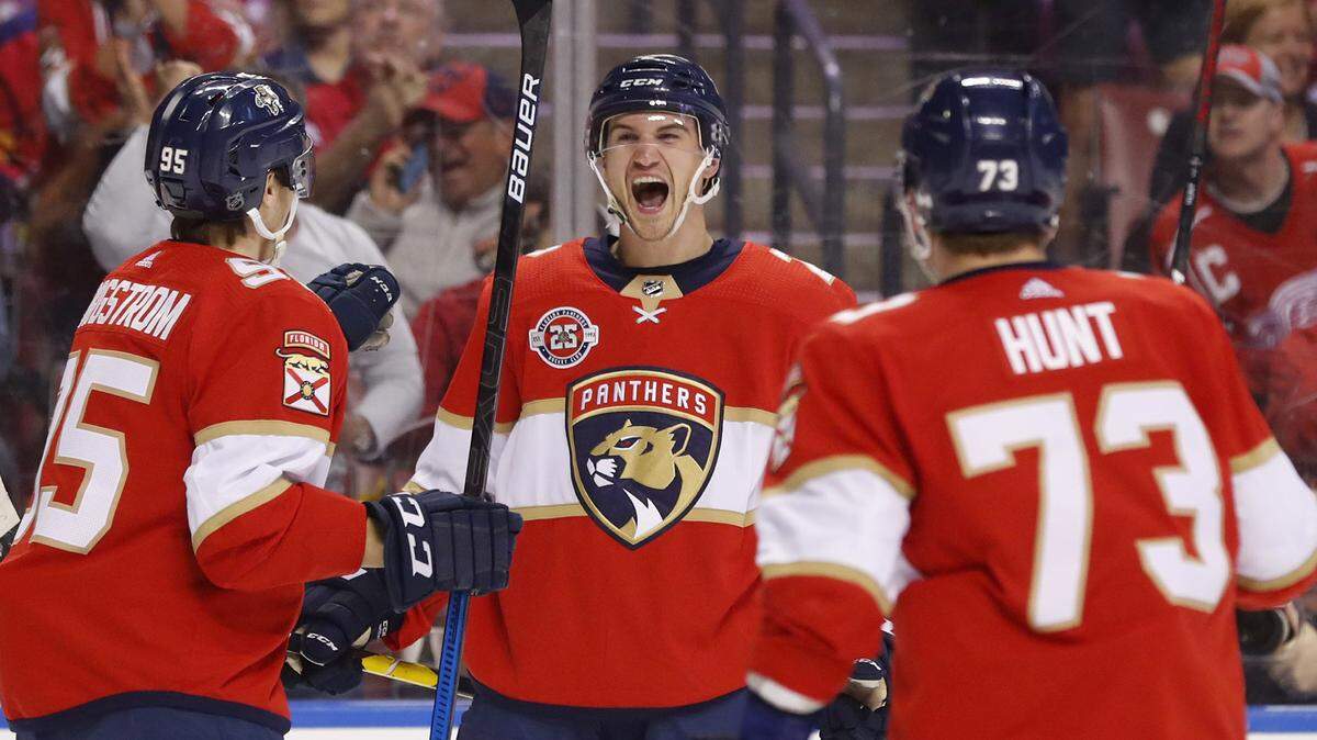 Florida Panthers defenseman Josh Brown center, celebrates his first NHL goal with left wing Dryden Hunt (73) and center Henrik Borgstrom (95) during the first period of an NHL hockey game against the Detroit Red Wings, Sunday, March 10, 2019 in Sunrise, Fla.