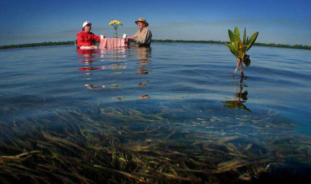 Former Herald environmental writer Juanita Greene, left, and Lloyd Miller, former president of the Izaac Walton League, sat in a restaurant some thirty-five years ago and came up with the idea that led the charge to get federal protection for the waters of Biscayne Bay. Greene, who died last year, joined Miller in 2003 on a flat in the south end of the Bay amid seagrass beds and mangrove shoots.