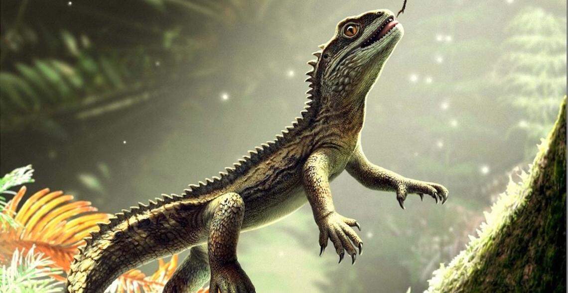 The little reptile had relatively large teeth for its group that could pierce through insects’ exoskeleton.