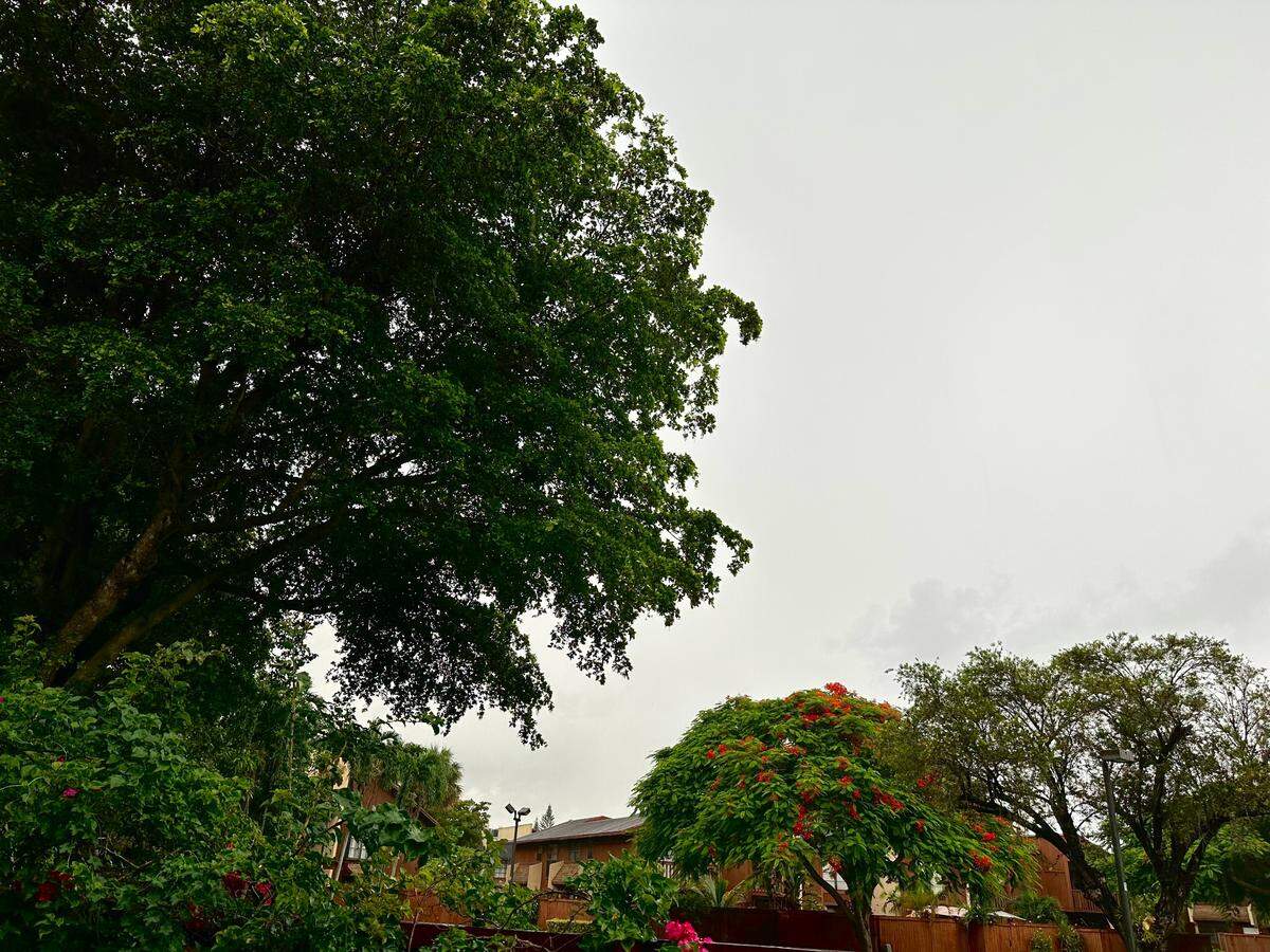 Overcast skies dropped rain on parts of South Florida Wednesday morning, July 26, 2023. Thunderstorms moved over Kendall, Cutler Bay, Palmetto Bay and Coral Gables, the National Weather Service in Miami said. More moisture is on the way into the weekend.