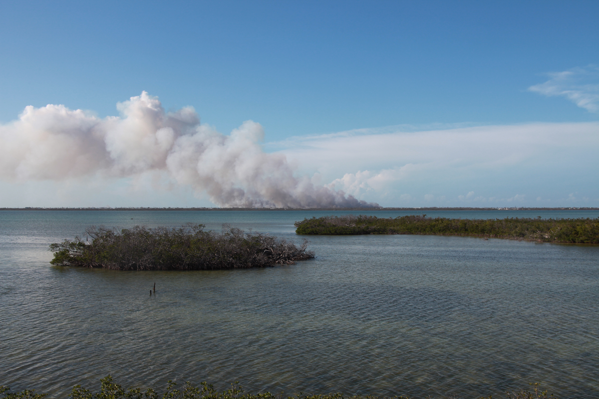 View of the brush fire on Big Pine Key from Long Beach Road across Coupon Bight.
