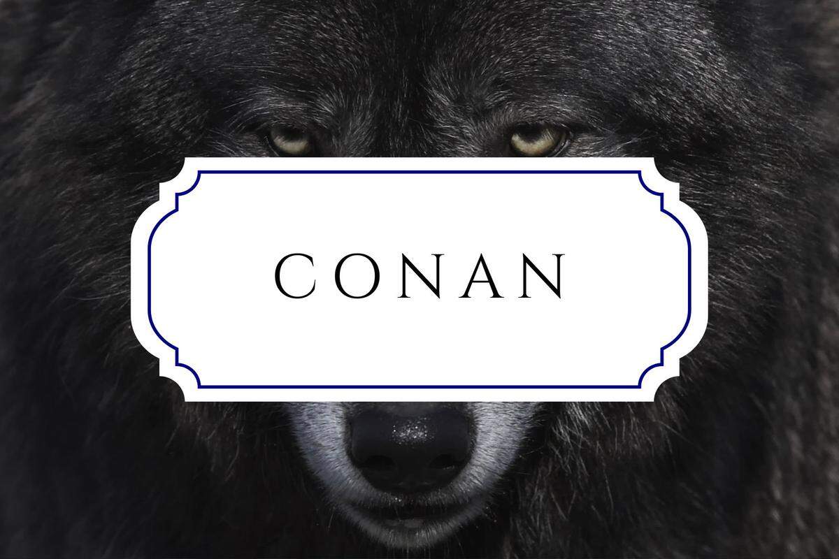 unique nature names conan