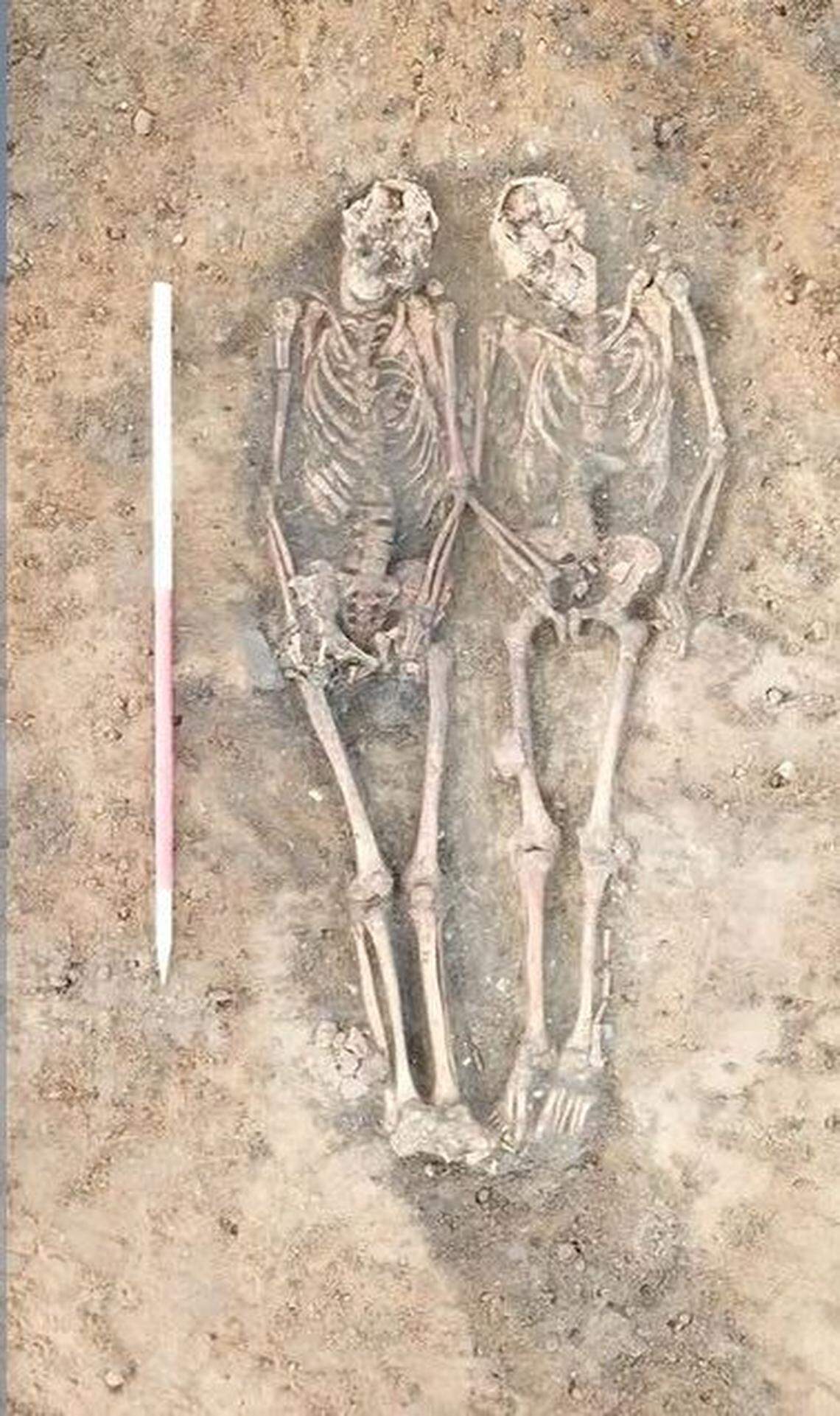 Of the 146 skeletons, 120 were complete, archaeologists said.